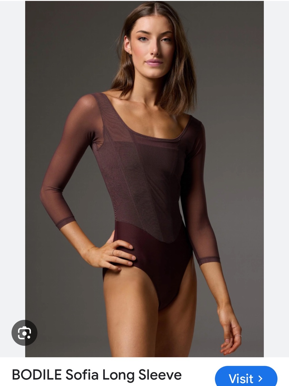 BODILE Long-Sleeve Mesh Ballet Leotard